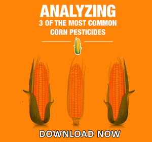 Common insects affecting wheat production whitepaper 300x281 - Common insects affecting wheat production