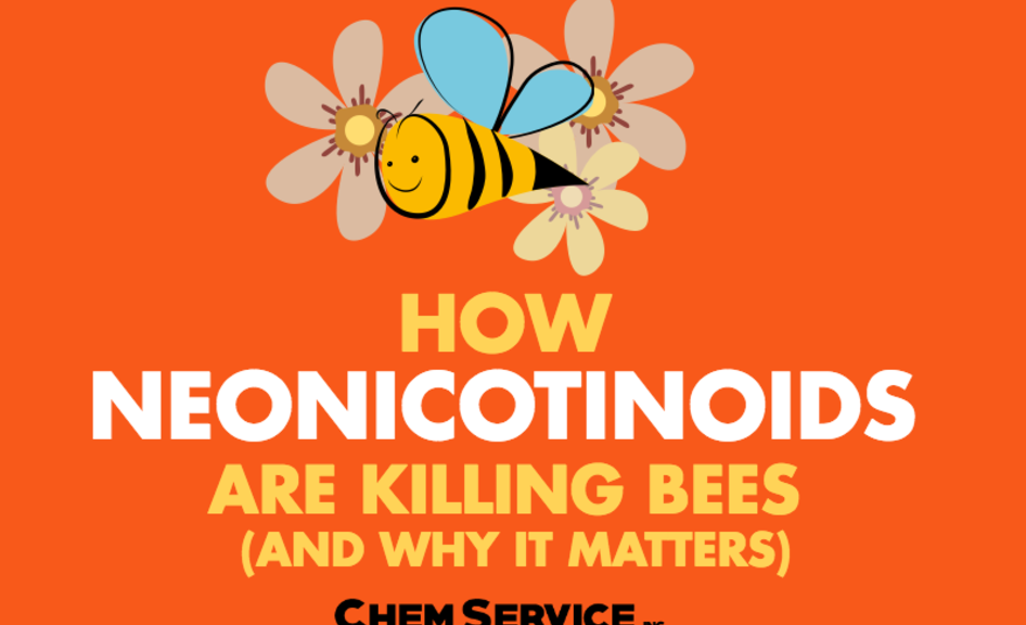 Screen Shot 2016 12 30 at 4.19.11 PM 946x576 - How Neonicotinoids Are Killing Bees (And Why it Matters)