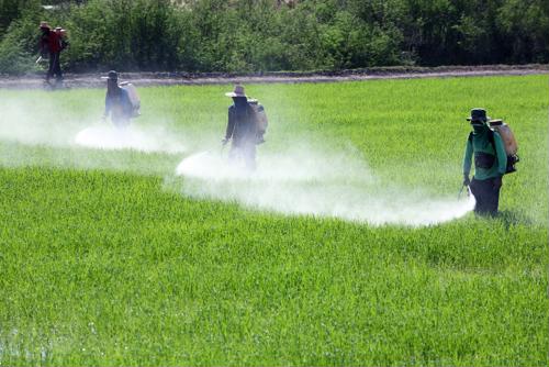 Pesticides like these are used on many different types of crops, but may not be right for cannabis farms.