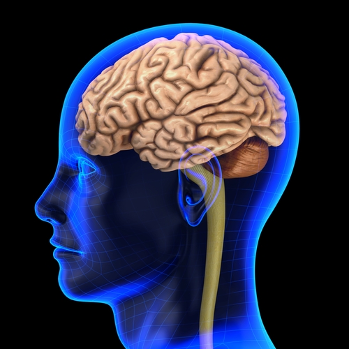 certain pesticides may increase the risk of parkinsons disease among peo 1646 675346 0 14036931 500 - Do pesticides cause Parkinson's disease?