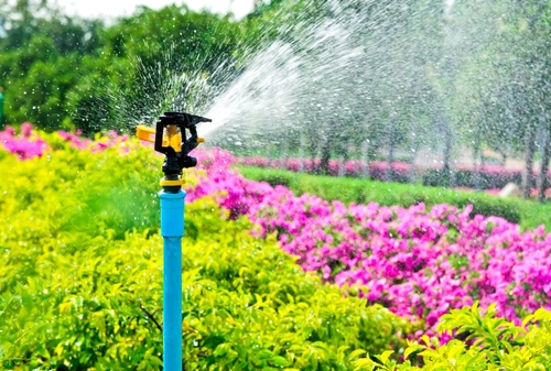 consider these tips on how to safely use pesticides in your garden indoo 1646 40110011 0 14124812 500 - How to safely use pesticides in the garden