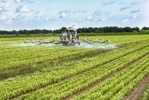 despite the attention surrounding pesticides there seems to be little at 1646 40114362 0 14124090 500 - How to keep pesticide workers safe