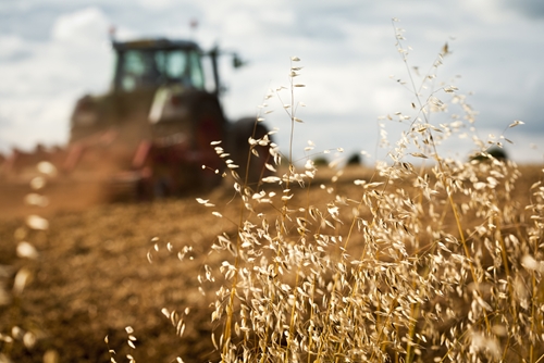 farmers are easily discouraged when a large set of crops are ruined by v 1646 40080988 0 14097969 500 - New pesticides may help with plant gene expression