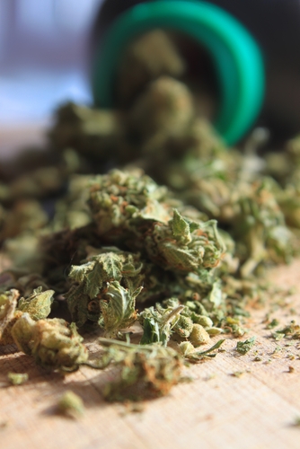 growers stopped in colorado for improper pesticide use 1646 40048849 0 14015537 500 - Growers stopped in Colorado for improper pesticide use