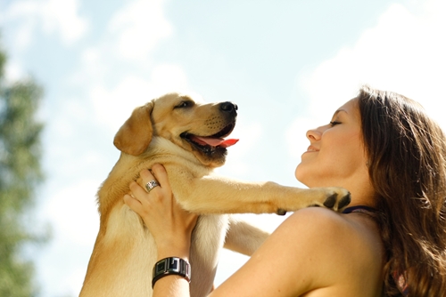 heres what you need to know about pesticides and pets 1646 40122453 0 14085257 500 - What you need to know about pesticides and your pet
