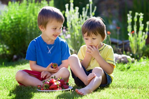 how to protect children from chemicals 1646 40131905 0 14112341 500 - How to protect children from chemicals
