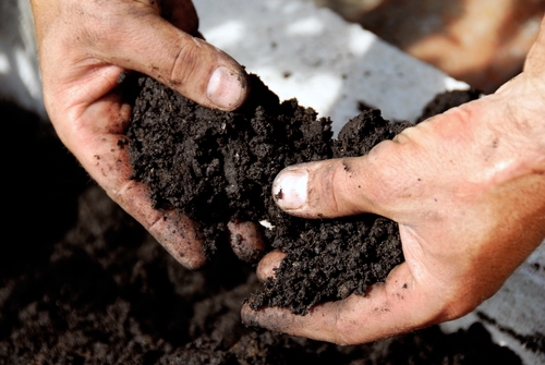 pollution from nitrogenbased fertilizer can be reduced 1646 40011170 0 14040633 500 - Study emphasizes importance of reducing nitrogen pollution from fertilizer