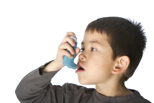 prenatal exposure to phthalates may increase the likelihood of childhood 1646 668681 0 14043039 500 - Prenatal exposure to phthalates raises risk of childhood asthma