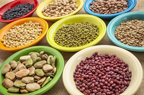 researchers develop global warmingresistant beans 1646 40048051 0 14107072 500 - Researchers develop global warming-resistant beans