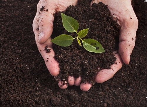 soil runoff is one of the many things that is hurting the environment an 1646 40103916 0 14093449 500 - Do GMO crops prevent runoff?