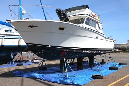 the biocides in antifouling paint may contribute to the proliferation of 1646 40022963 0 14096182 500 - What chemical compounds are causing antibiotic resistance?